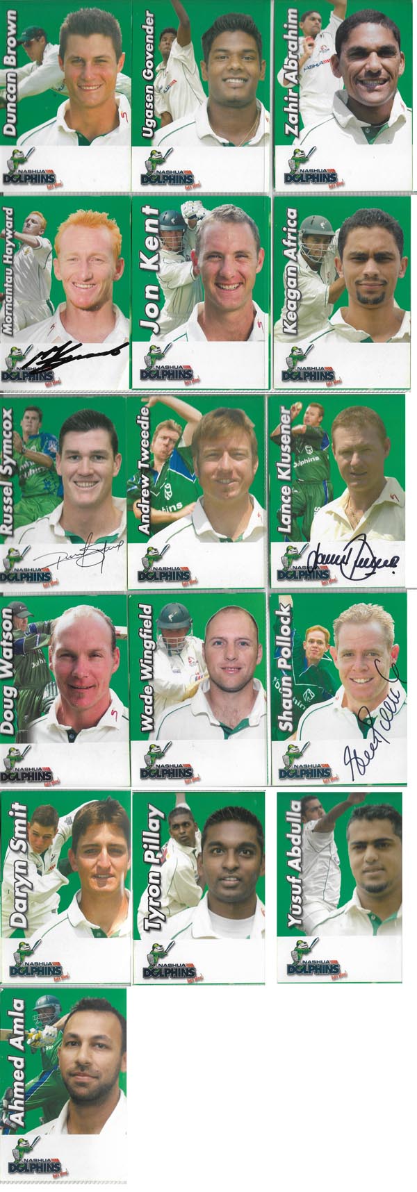 KwaZulu Natal Nashua Dolphins