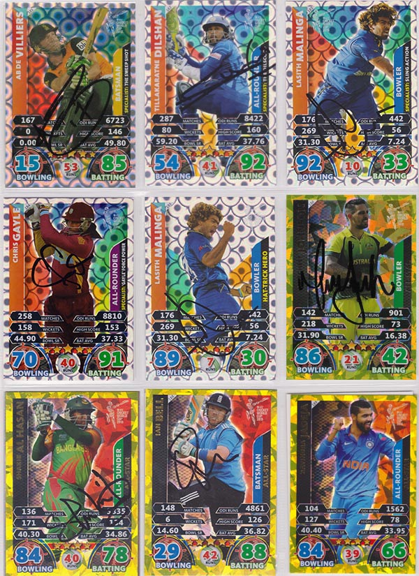 Topps 2015 Cricket Attax World Cup (208)