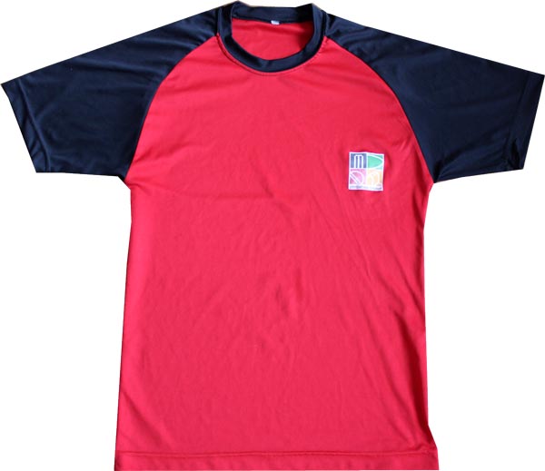 Player Issued Unsigned Gear (Zimbabwe)